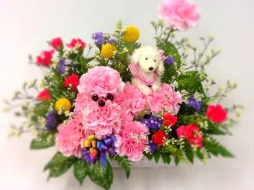 5月13日（日）は母の日です｜「フラワーやない」　（群馬県前橋市の花キューピット加盟店 花屋）のブログ